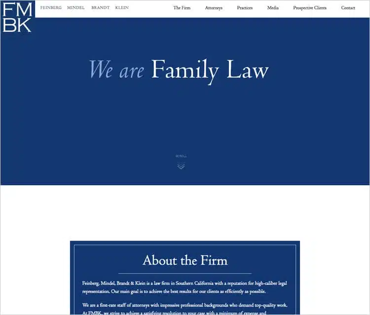 family-lawyers-website-design-2
